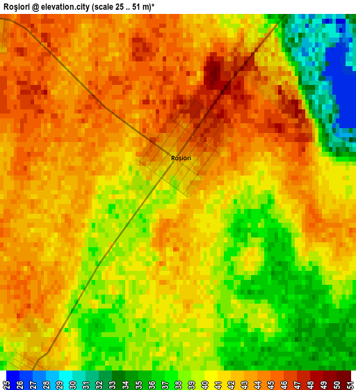 Roşiori elevation map