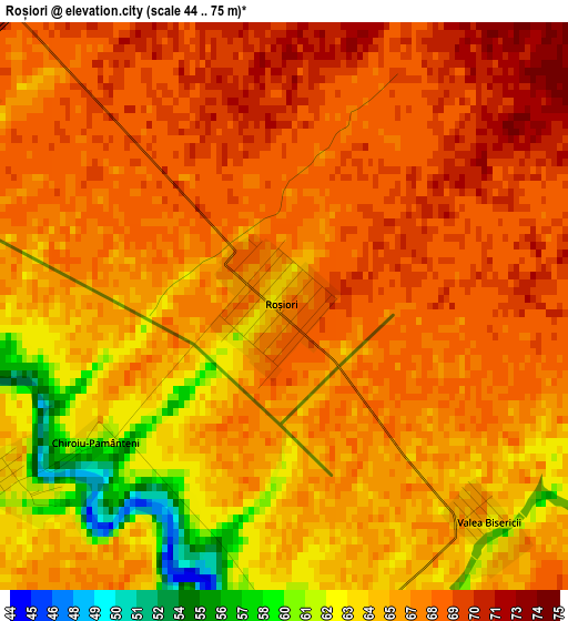 Roșiori elevation map