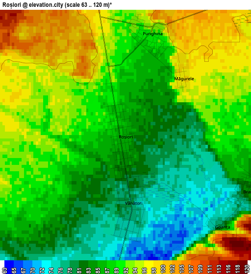 Roșiori elevation map