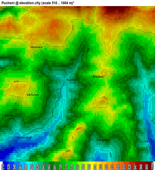 Pucheni elevation map