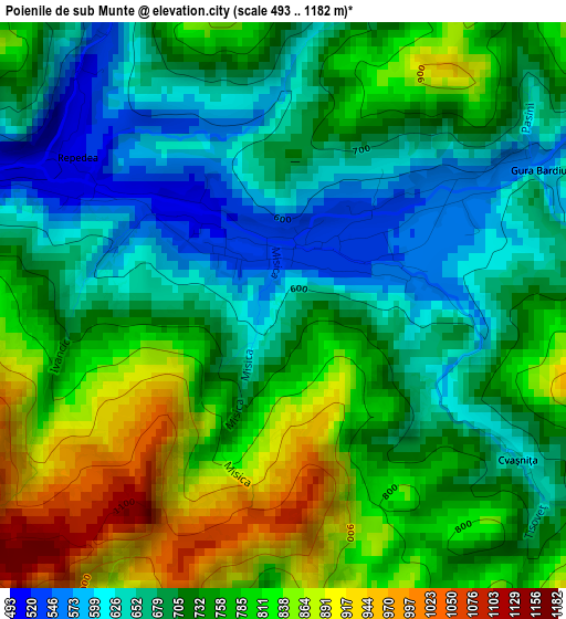 Poienile de sub Munte elevation map