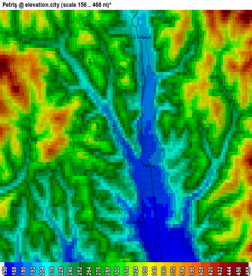 Petriş elevation map