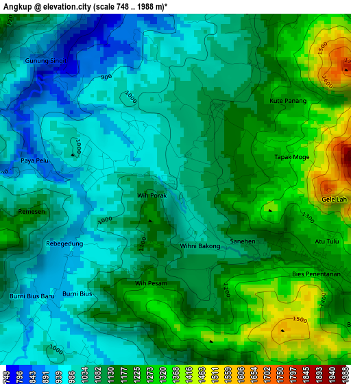 Angkup elevation map