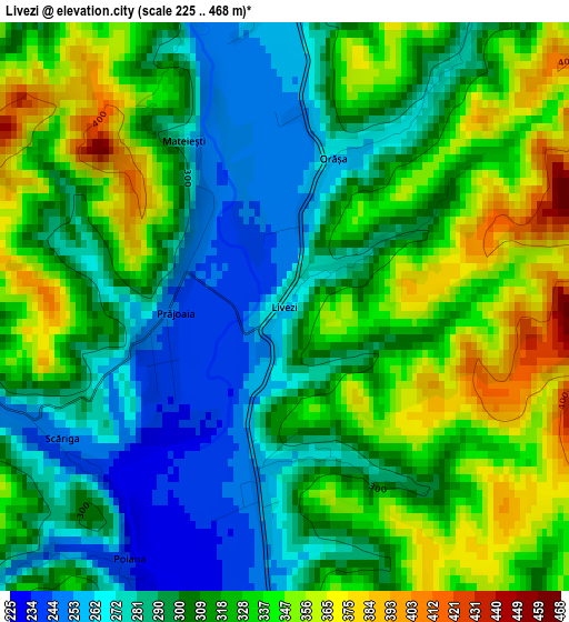 Livezi elevation map