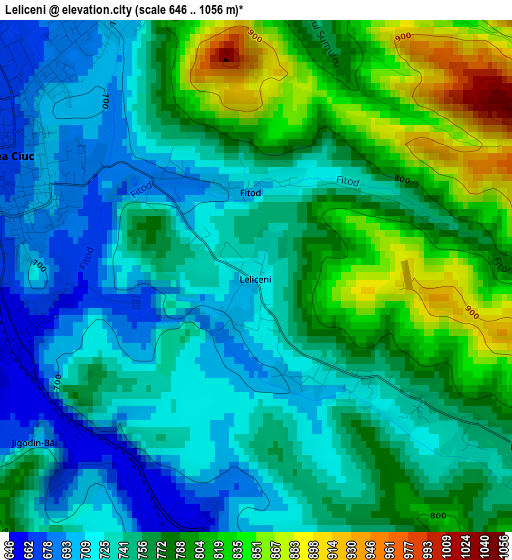 Leliceni elevation map