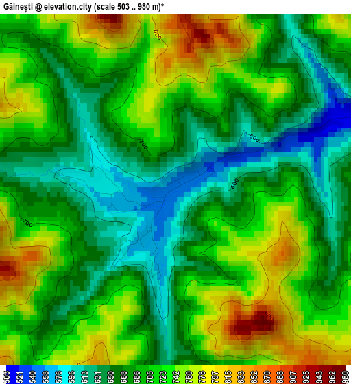 Găinești elevation map