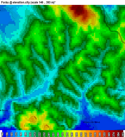 Forău elevation map