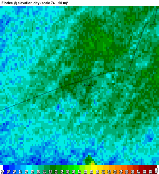 Florica elevation map