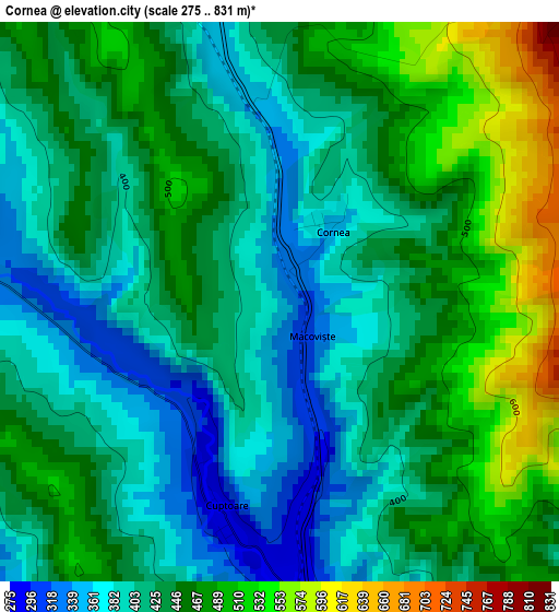 Cornea elevation map