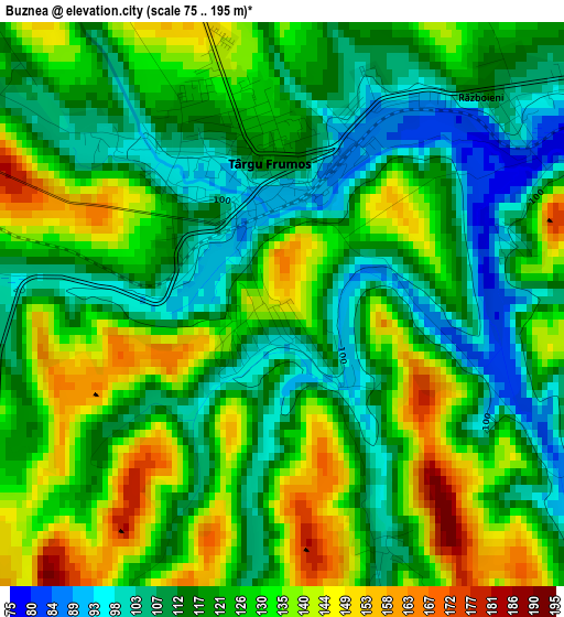 Buznea elevation map