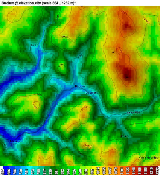 Bucium elevation map