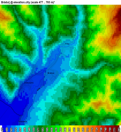 Brăduţ elevation map