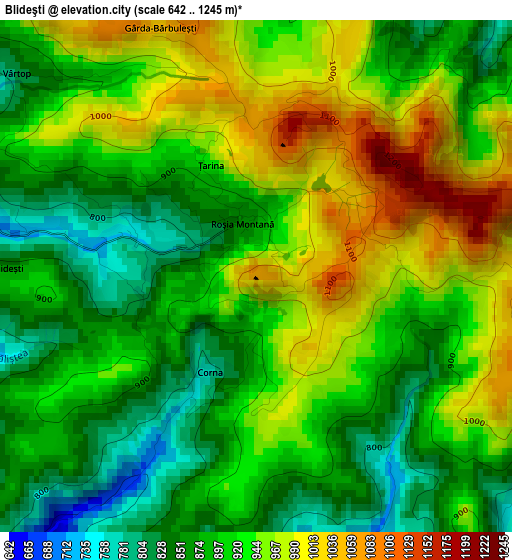 Blideşti elevation map