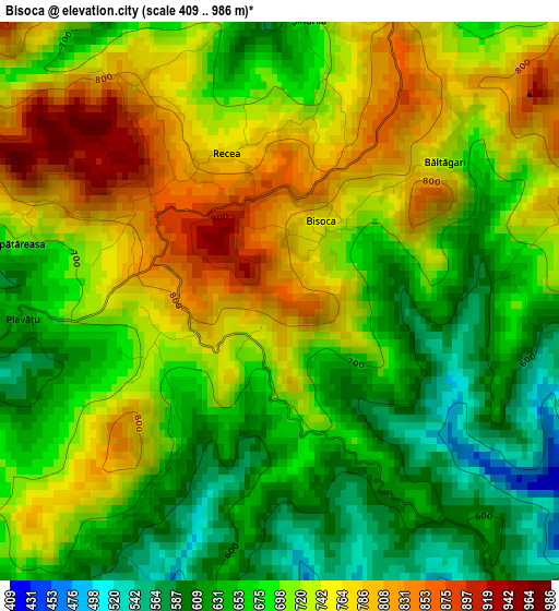 Bisoca elevation map