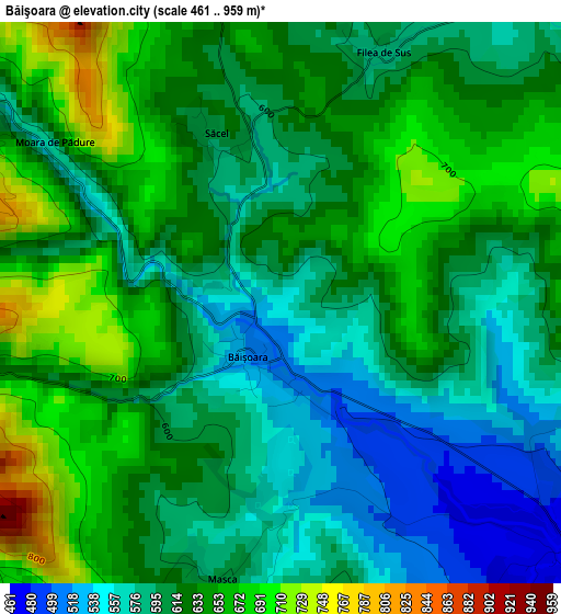 Băişoara elevation map