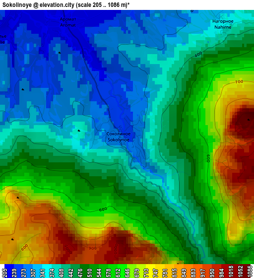 Sokolinoye elevation map