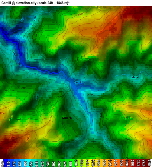 Camili elevation map