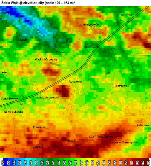 Żabia Wola elevation map