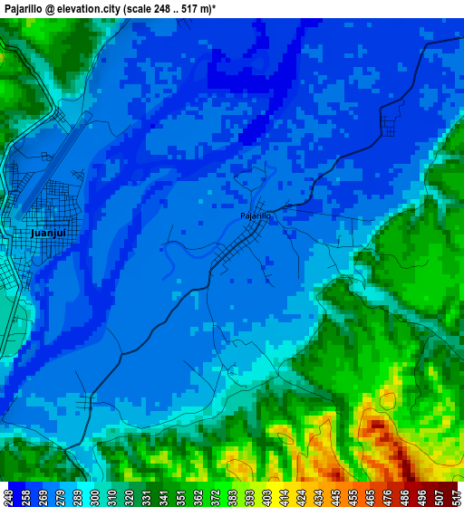 Pajarillo elevation map