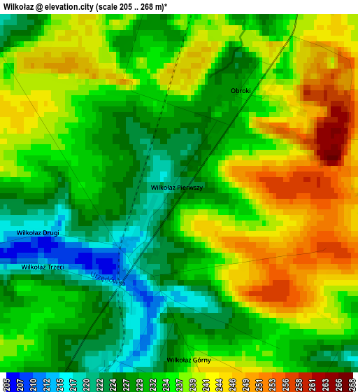 Wilkołaz elevation map