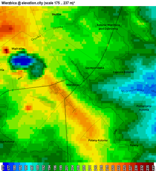 Wierzbica elevation map