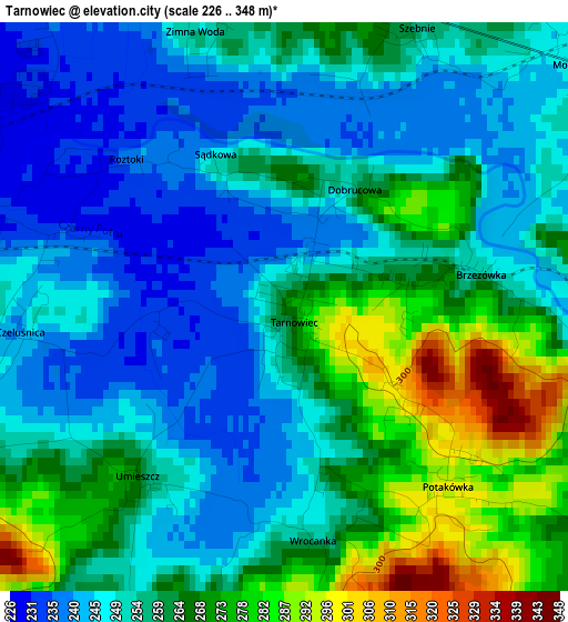 Tarnowiec elevation map