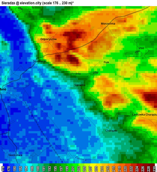 Sieradza elevation map