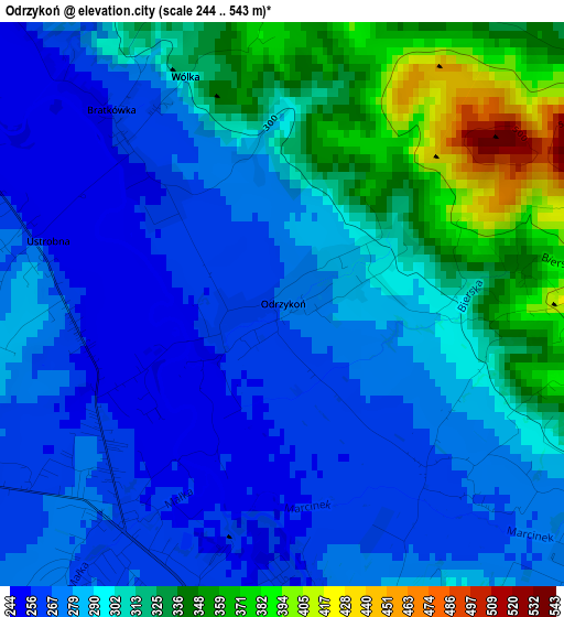 Odrzykoń elevation map