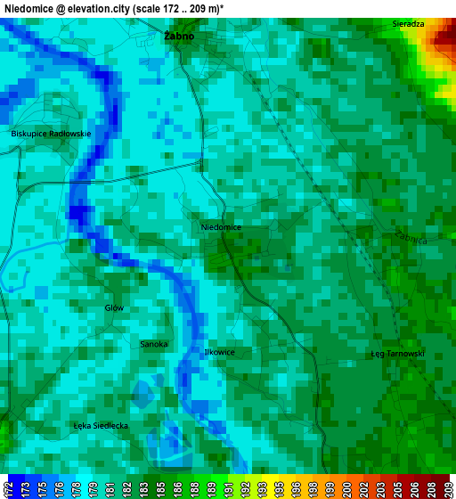 Niedomice elevation map