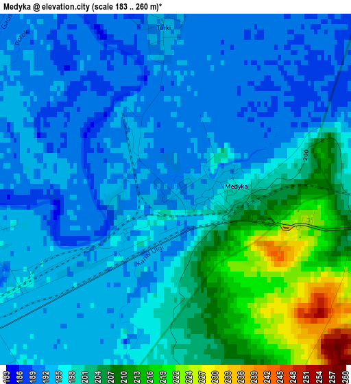 Medyka elevation map