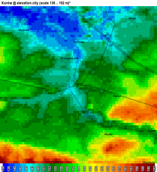 Kurów elevation map