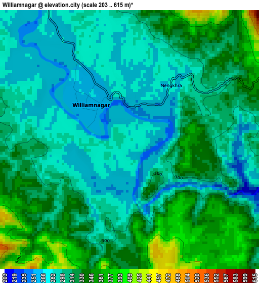 Williamnagar elevation map