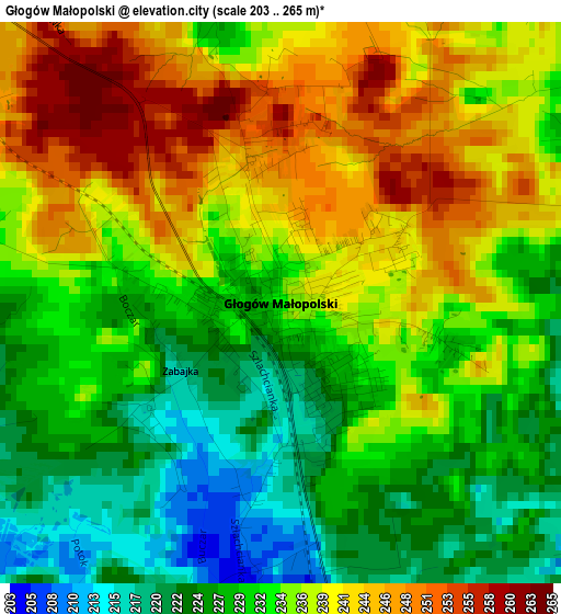 Głogów Małopolski elevation map