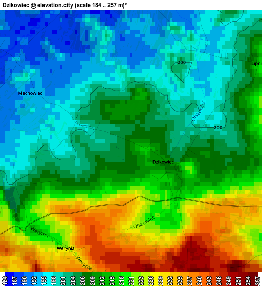 Dzikowiec elevation map