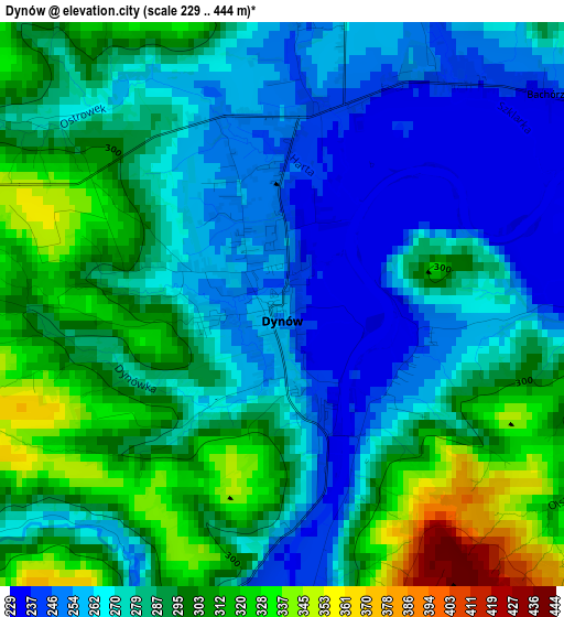 Dynów elevation map