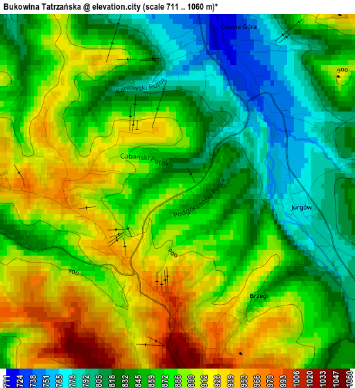 Bukowina Tatrzańska elevation map