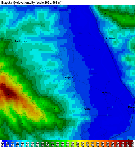 Brzyska elevation map