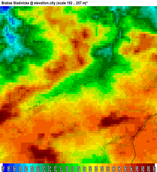 Brzóza Stadnicka elevation map