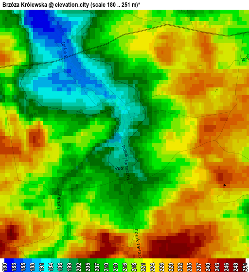 Brzóza Królewska elevation map