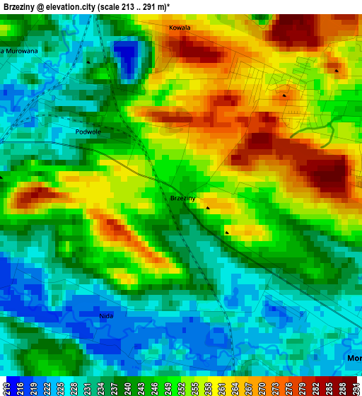 Brzeziny elevation map