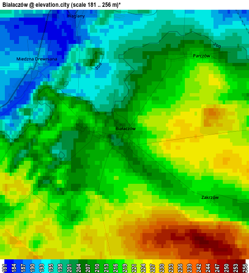 Białaczów elevation map