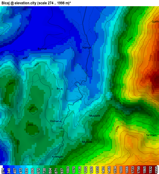 Bicaj elevation map