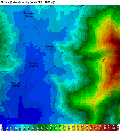 Srbica elevation map