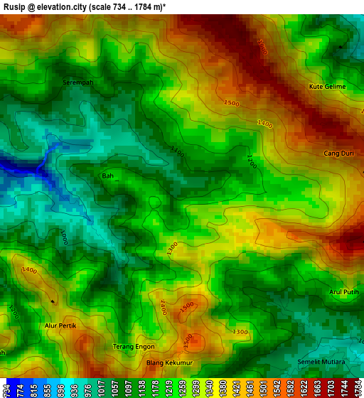 Rusip elevation map