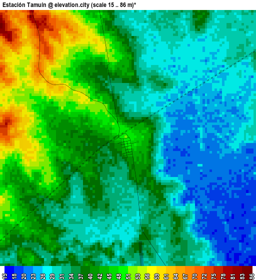 Estación Tamuín elevation map