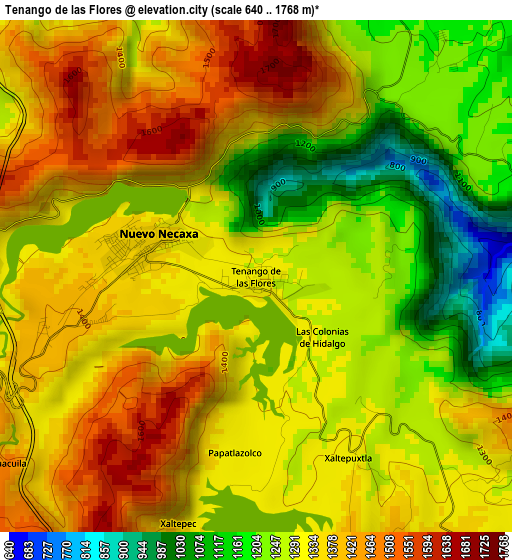 Tenango de las Flores elevation map