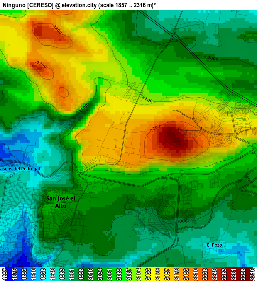 Ninguno [CERESO] elevation map