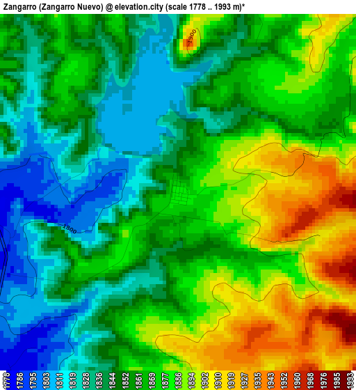 Zangarro (Zangarro Nuevo) elevation map