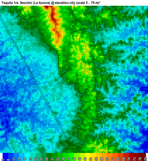 Tequila 1ra. Sección (La Aurora) elevation map