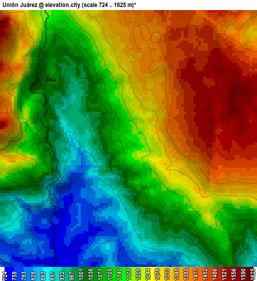 Unión Juárez elevation map